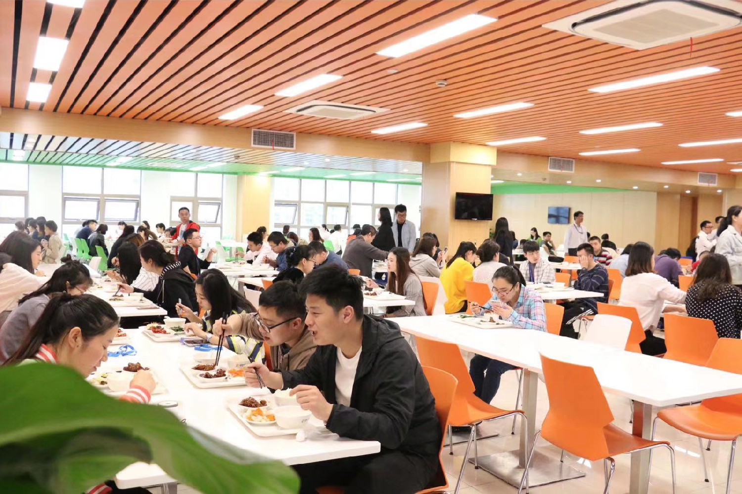 學校食堂承包